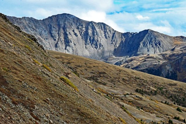 Blick auf Torreys Peak und Grizzly Peak über den weiten Tundrahängen nz7 9623