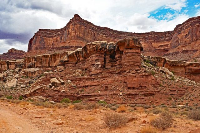 Die Felspfeiler der Organ Rock Formation vor dem Shafer Canyon Tower nz7 9678