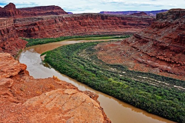 Die Flussschleife des Colorado River am Thelma & Louise Point nz7 9684 1