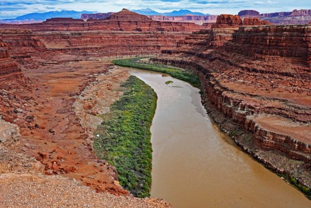 Die Schleife des Colorado River unter den Gipfeln der La Sal Mountains nz7 9688